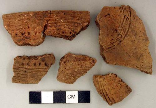 Ceramic, earthenware rim and body sherds