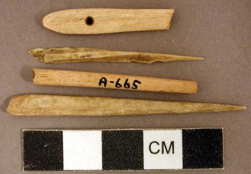 Worked animal bone fragments, including at least one perforator fragment, one with perforated hole at one end