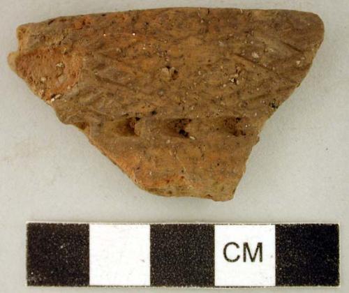 Ceramic, earthenware rim sherd, cord-impressed, incised, and dentate design