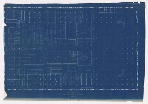 Plans of Peabody Museum Exhibitions at World's Columbian Exposition of 1893