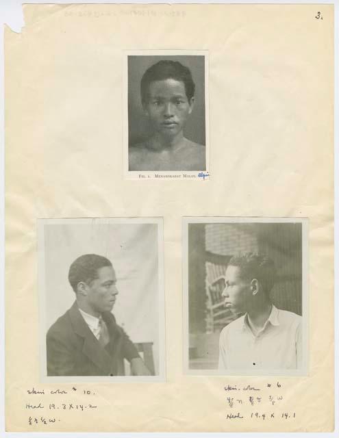 Portraits (3) of young men