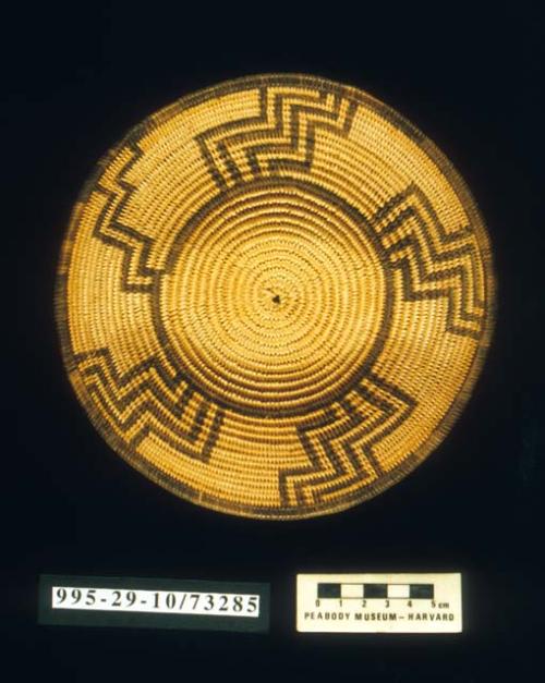 Coiled bowl-shaped basket of willow with flaring sides