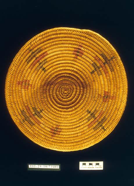 Coiled bowl with dragonfly motif