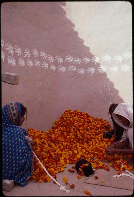 Making marigold garlands at Sarnath - Benares, India
