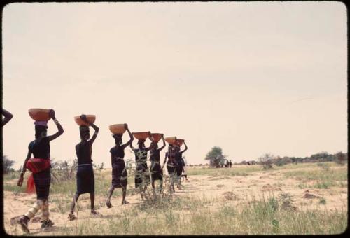 Line of Bororo women carrying calabashes - Niger
