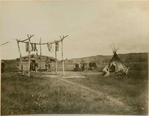 Log house and tepee