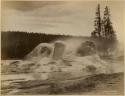 Grotto Geyser, Yellowstone Park