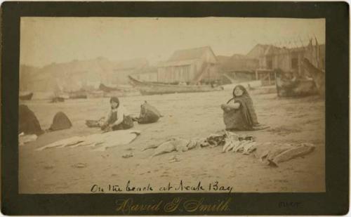 Women with fish on the beach