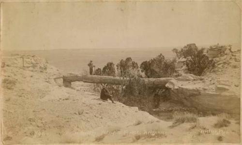 Ngate Bridge, Petrified Forest