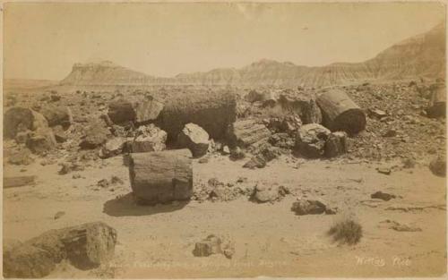 Chalcedony Park or Petrified Forest