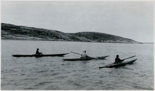 Three people in kayaks