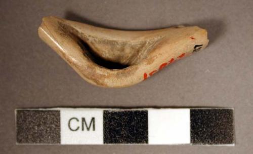 Shell bracelet fragment