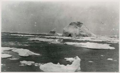 Iceberg