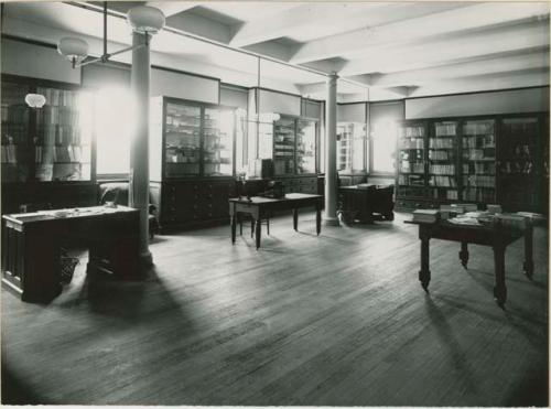 Peabody Museum Library