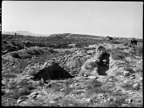 Test 40, looking west, W. mound in center background.