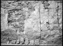 Kiva 788, E wall, showing reed reinforcing of plaster, with horizontal impressions of reeds and vertical reeds still in place.