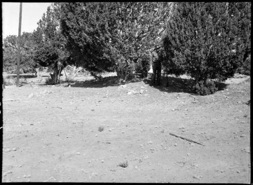 Site 102, before excavation, from SE.