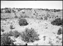 Site 104, before start of work, looking south.