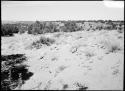 Site 105, before start of work, north end, looking south.