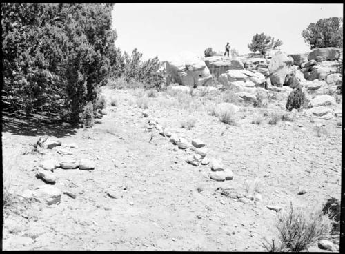 Site 104, showing stone rows, looking west.