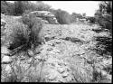 Site 104, round wall, possibly a circular kiva, looking west.