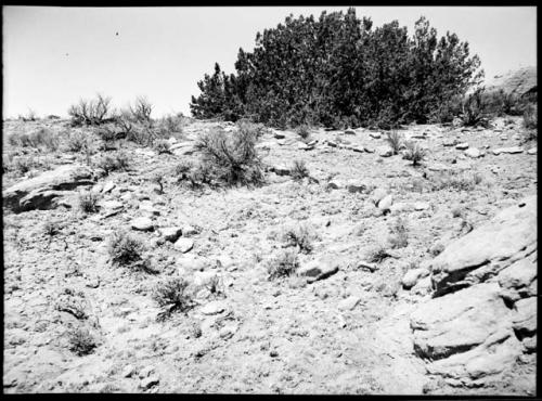 Site 104, before start of work, showing walls dividing rooms, looking west.