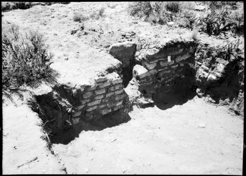 Site 103, Room 2, firepit, looking south.