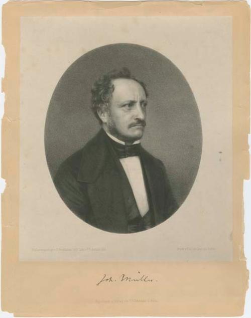 Johannes Peter Müller