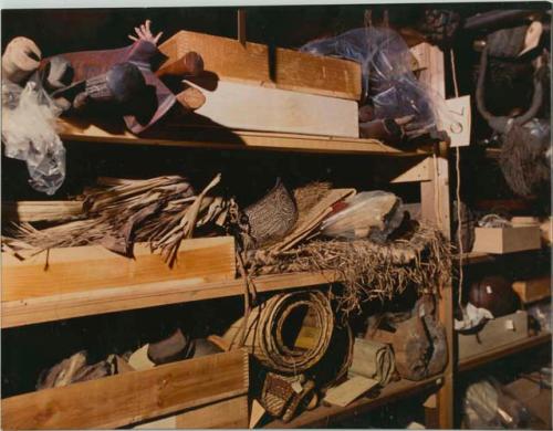 Peabody Museum storage shelves with various objects