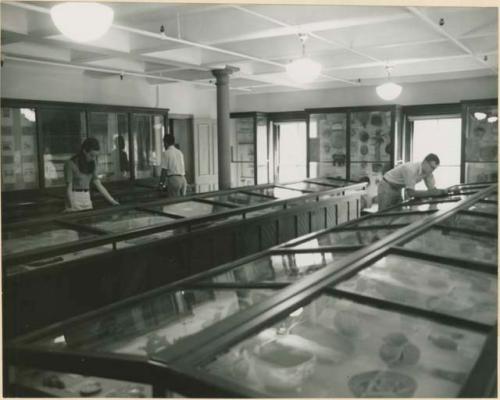 Peabody Museum display room