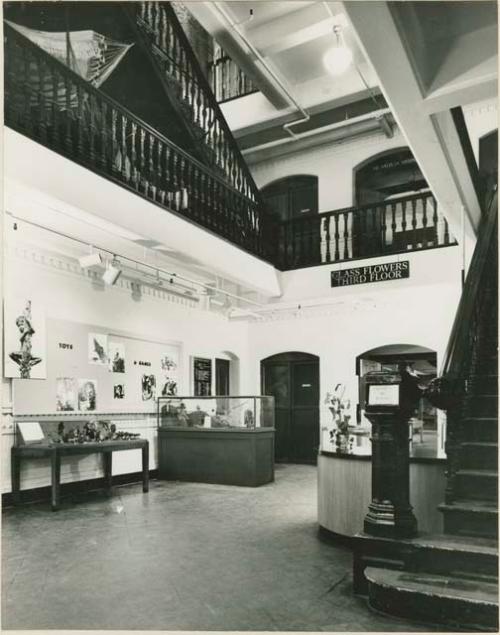 Peabody Museum Divinity Street Lobby