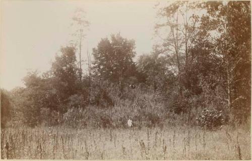 Serpent Mound Park Landscape