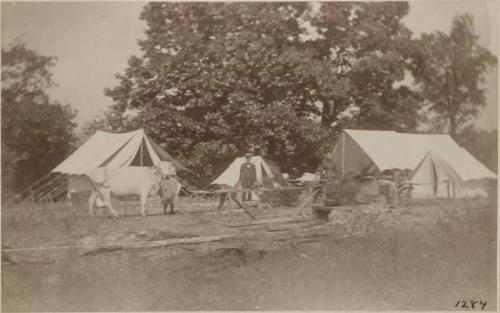 Camp at Serpent Mound Park