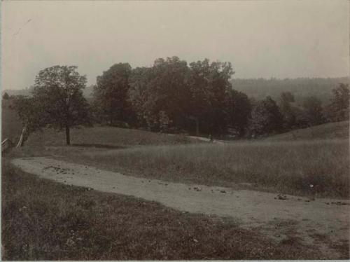 View of Picnic Grounds at Serpent Mound Park