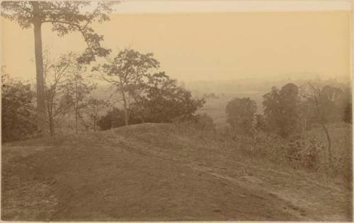 Part of Serpent Head, Serpent Mound Park