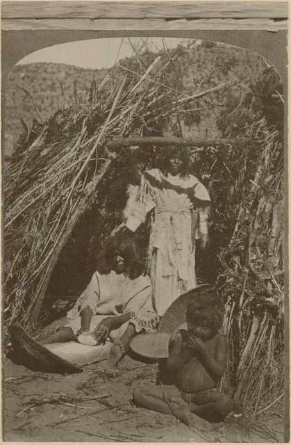 Woman Grinding. Kai-Vav-Its. A tribe of the Pai Utes, living on the Kai-bab Plateau, near the Grand Canon of the Colorado, in Northern Arizona