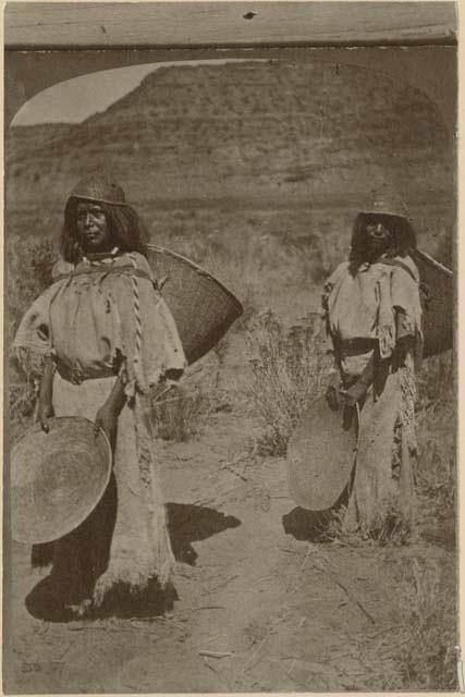 The Seed Gatherers. Kai-Vav-Its. A tribe of the Pai Utes, living on the Kai-bab Plateau, near the Grand Canon of the Colorado, in Northern Arizona