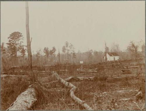 House on Old Choctaw Reservation about Two Miles East of Madisonville, LA.