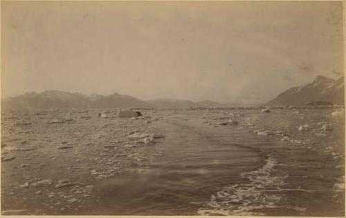 Glacier Bay