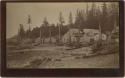 Totem poles, village of Howkan, Alaska