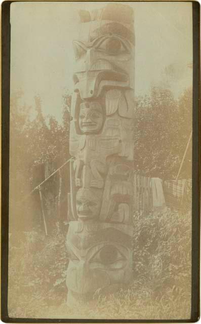 Totem pole at Massett, British Columbia