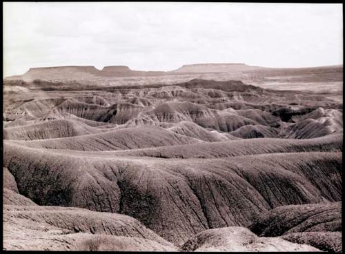 Painted Desert