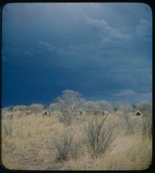 Werf: People and skerms, with stormy clouds in the background