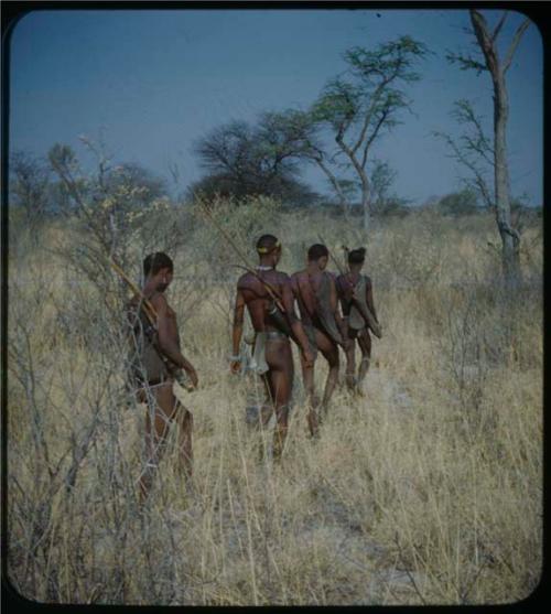 Hunting: Four men walking, carrying hunting equipment