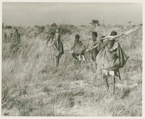 [No folder title]: Group of people returning from gathering tsama melons; /Twikwe carrying a log of wood