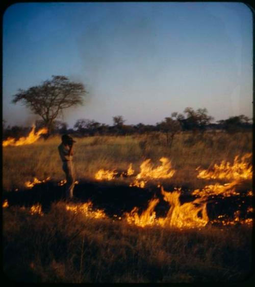 Expedition: John Marshall photographing grass fire
