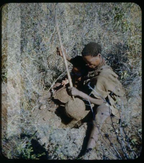 Food Gathering, General: N!ai holding a root she has dug up