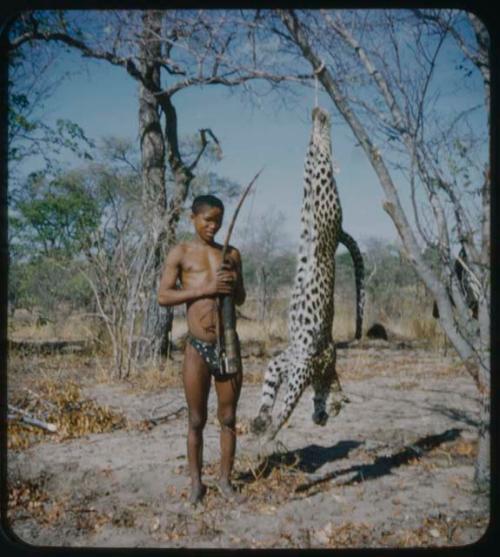 Man standing next to a dead leopard hung from tree