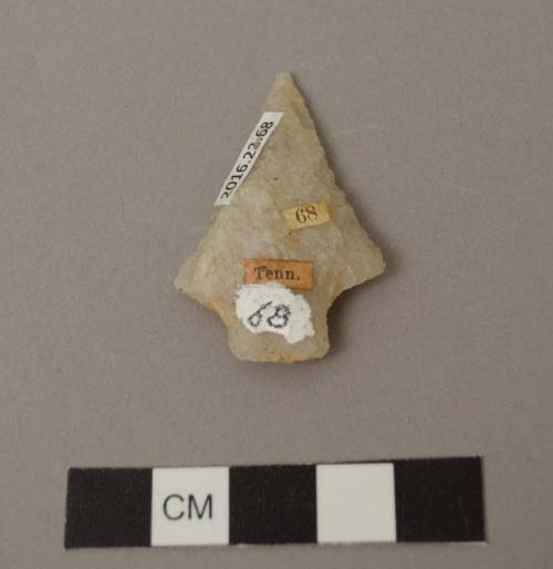 Projectile point