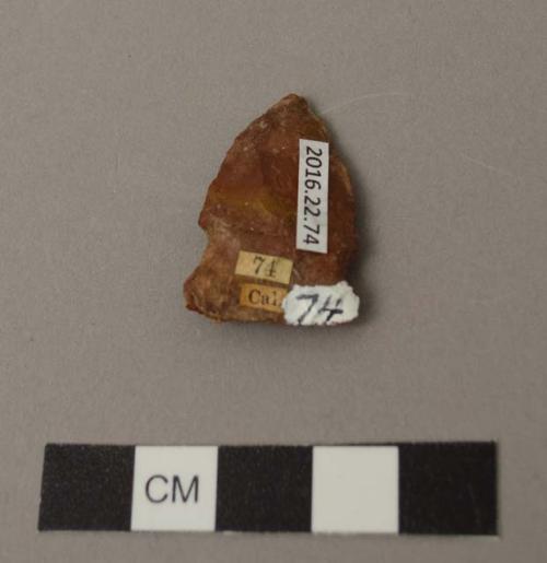 Projectile point